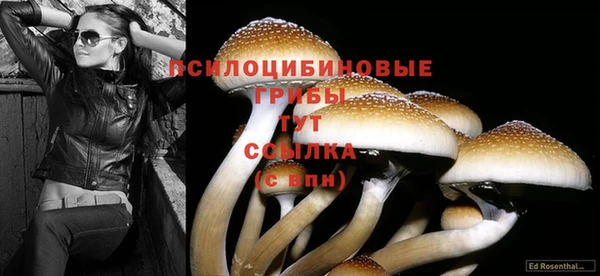 ALPHA-PVP Белая Холуница