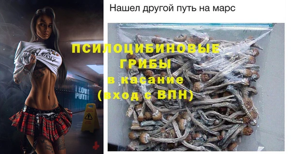 PSILOCYBIN Нефтегорск